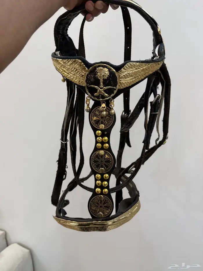لجام خيل ذهبي وسرج للبيع 0