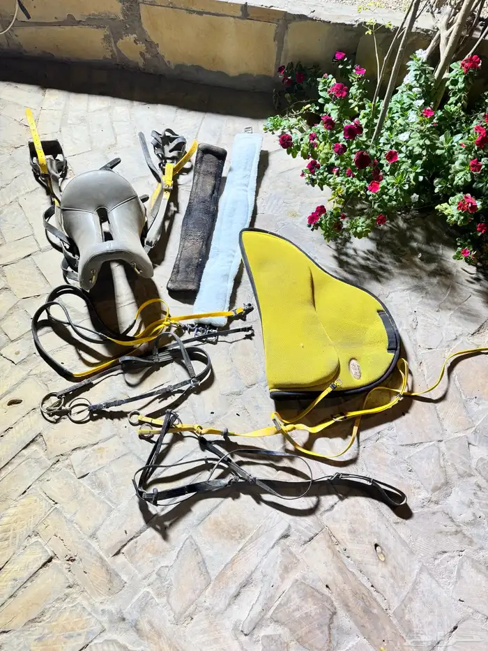 للبيع سرج قدرة وتحمل استخدام شهرين فقط 0