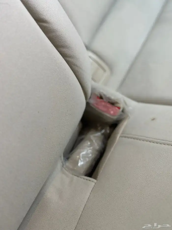 كادينزا 2017 شد بلد 25