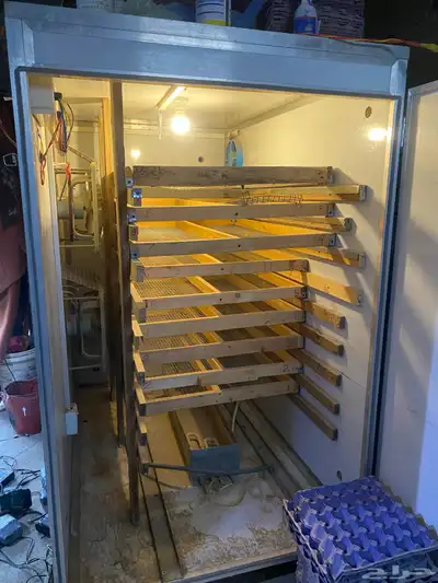 فقاسة بيض index