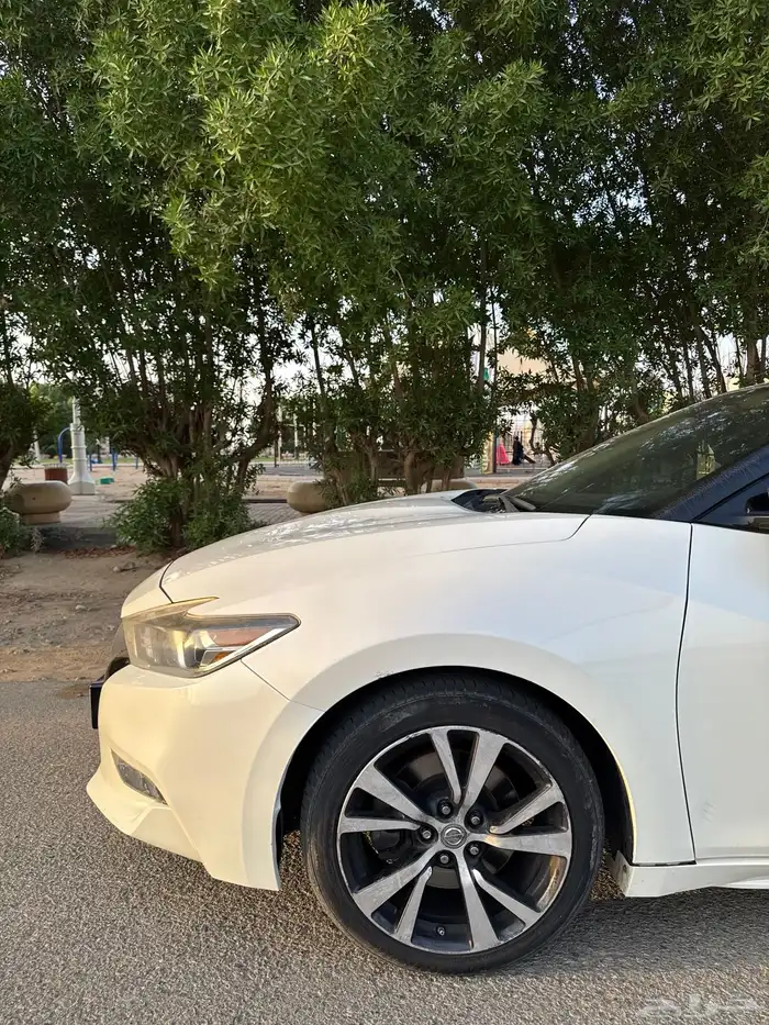 مكسيما 2017 SV مالك اول استخدام نظيييف 3