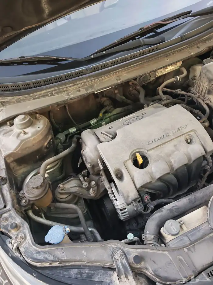 سيراتو نظيييف 2012 19