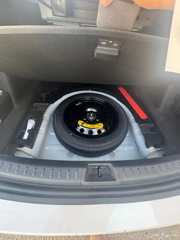 تورس 2023 تيتانيوم 8