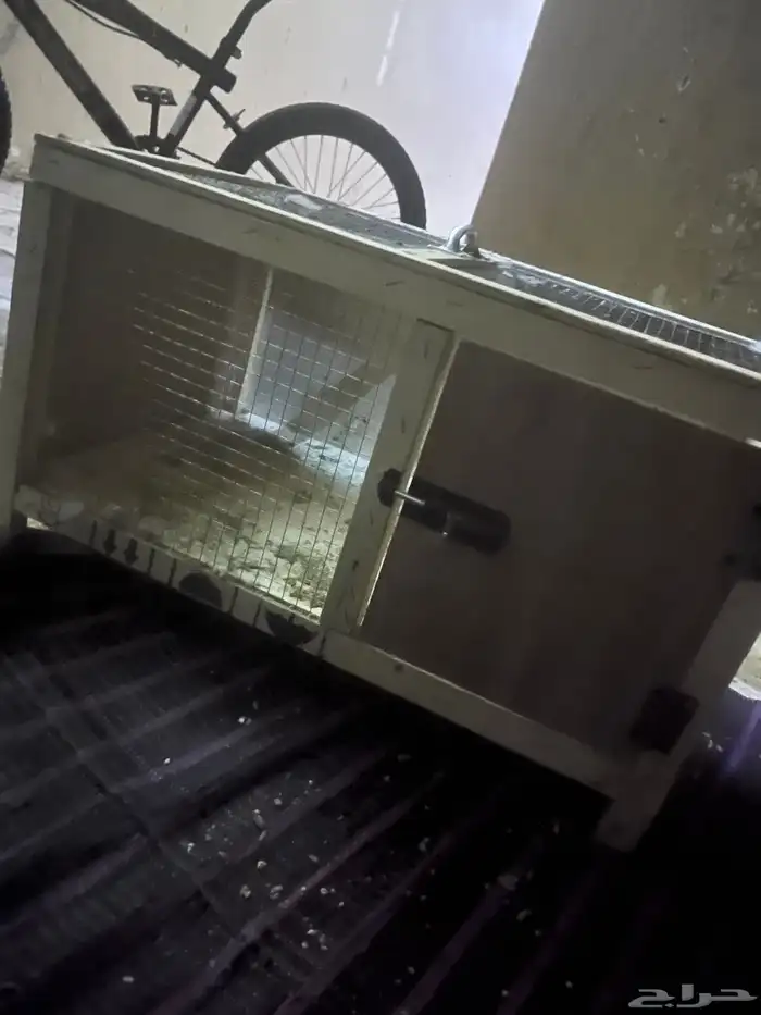 محكر البيع نضيف استخدام أسبوع على السوم 4