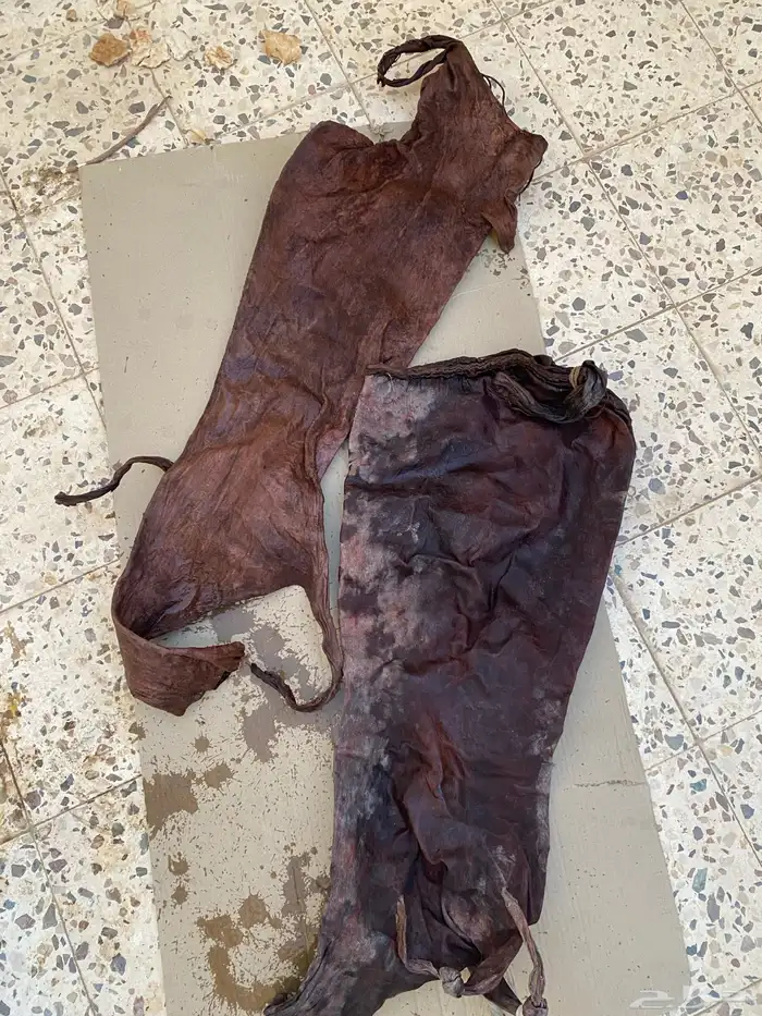 جلد أغنام غنم 0