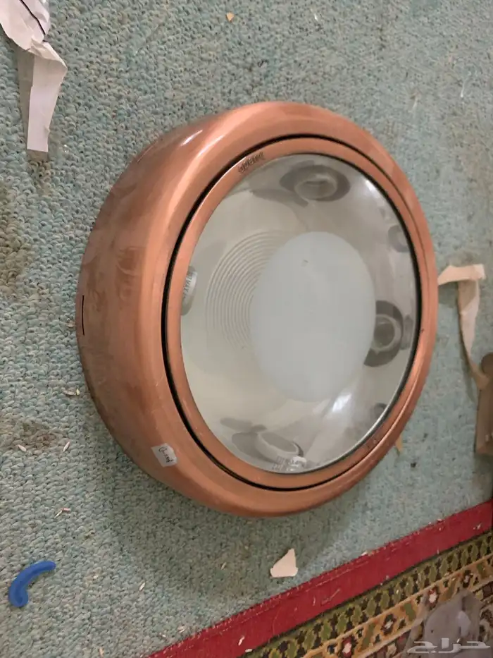 لطش 10 حبات سليمه ونظيفه 0