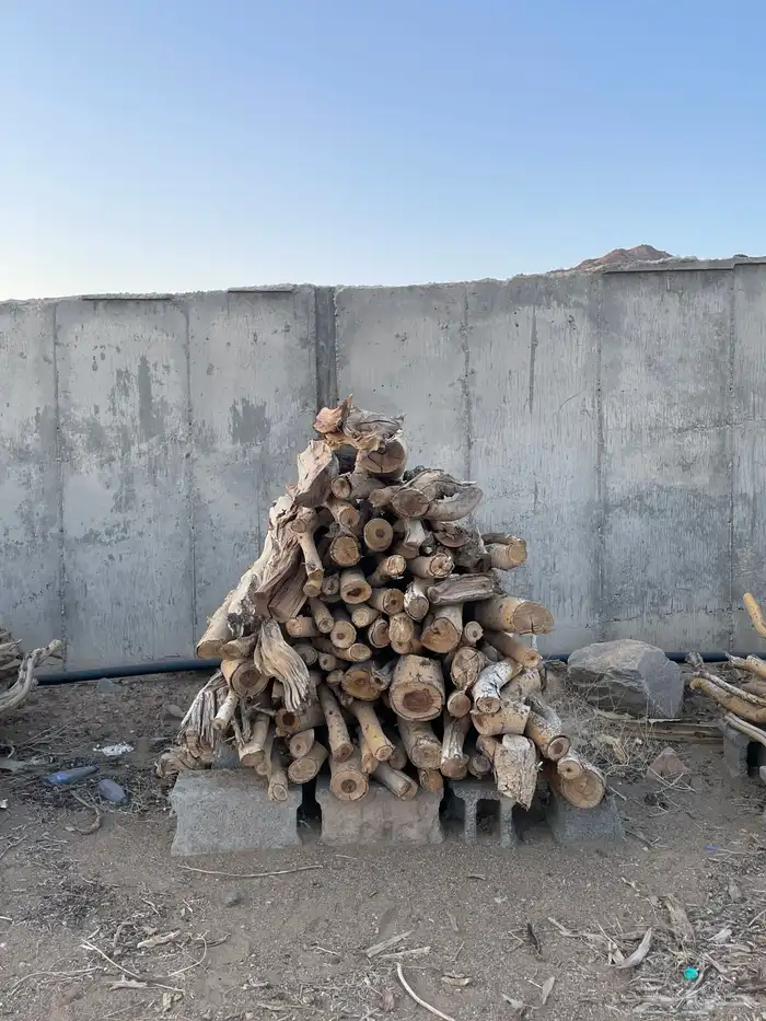 حطب مستورد للبيع 0