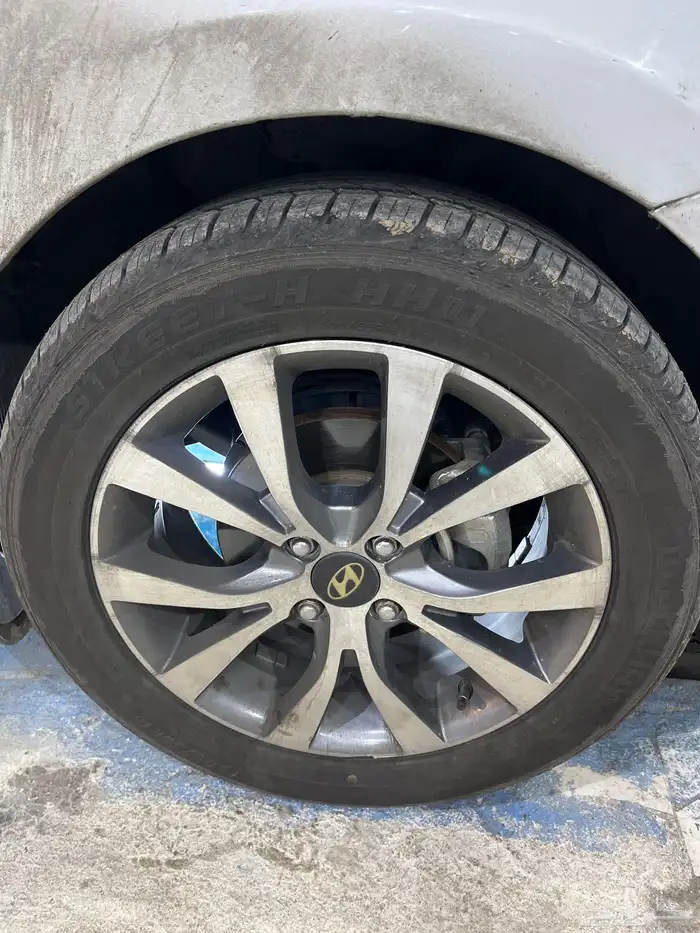 جنوط اكسنت 2016 0