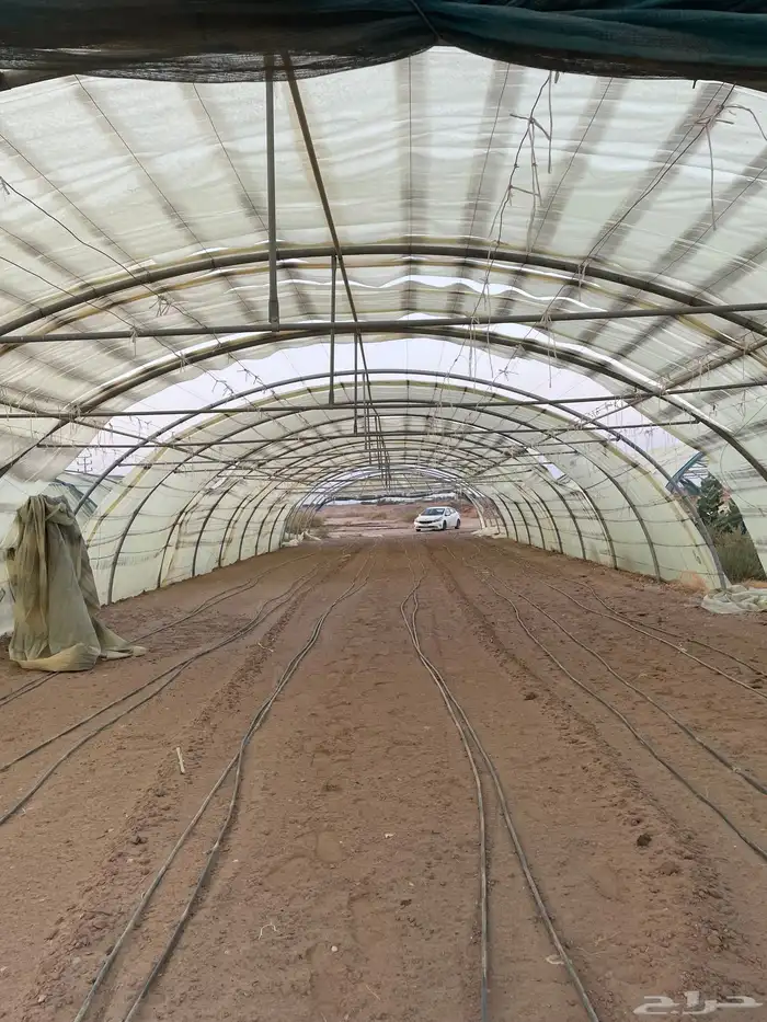 بيوت محميه 0