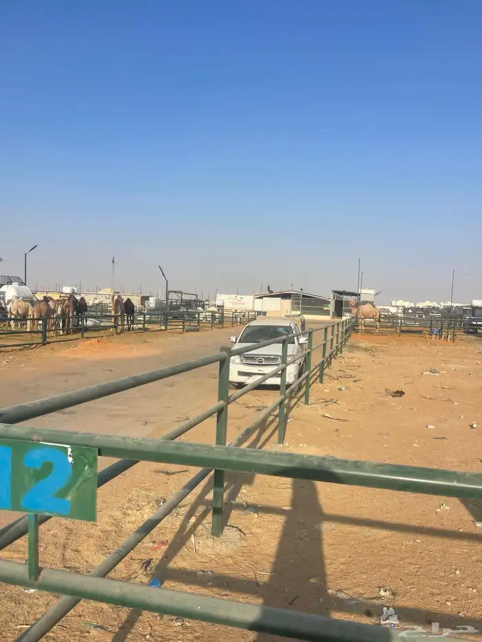 شبك للايجار سوق طويق رقم12 سوق الابل 3