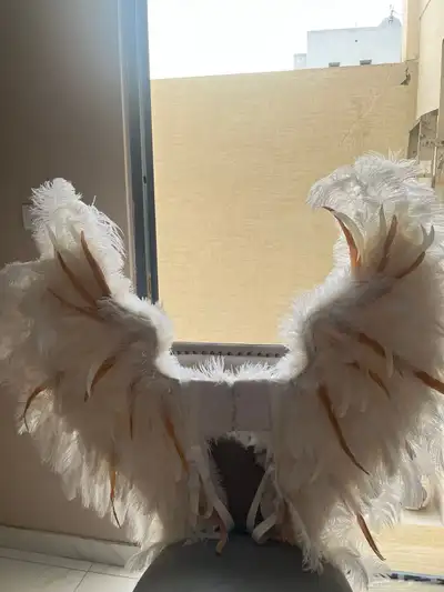 اجنحه للبيع index