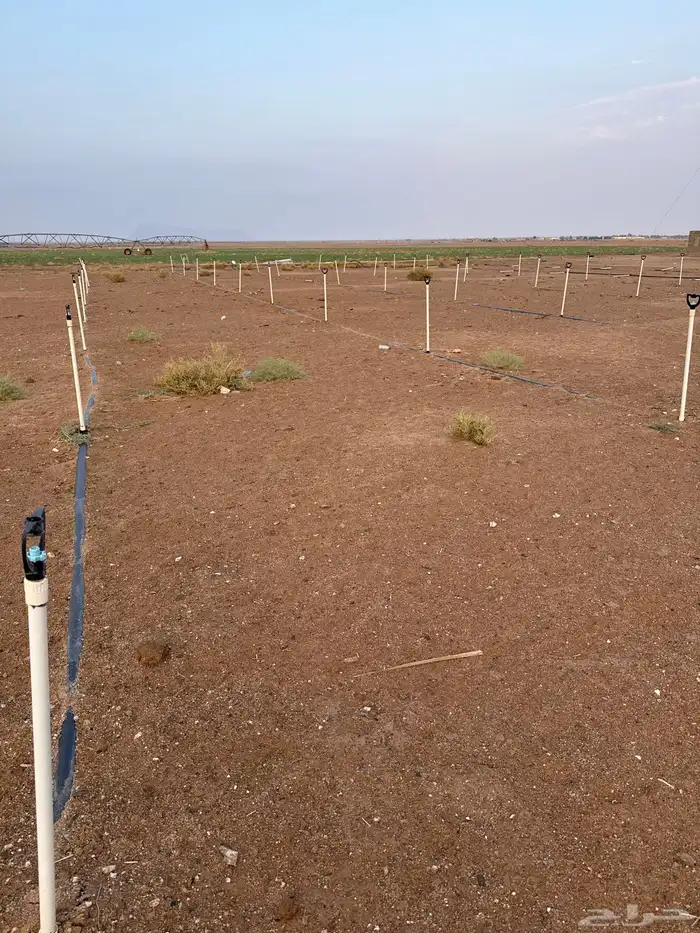 رشاشات ثابته للبيع استخدام شهرين فقط 2