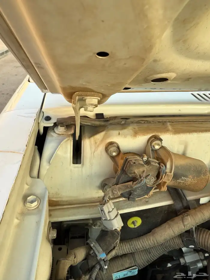 ربع 23 شرط وكاله 3