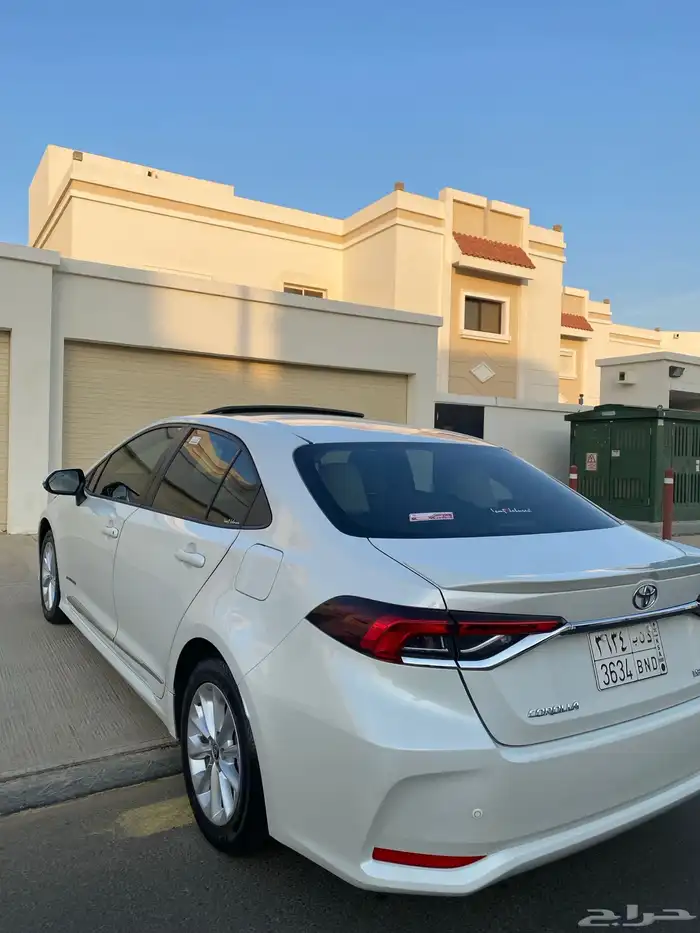 تم البيع تم البيع 17