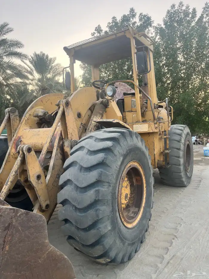 شيول للبيع 1