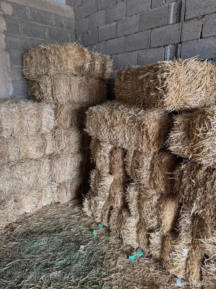 أعلاف تبن بالبنك 0