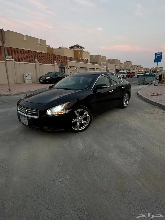 ماكسيما 2014 3