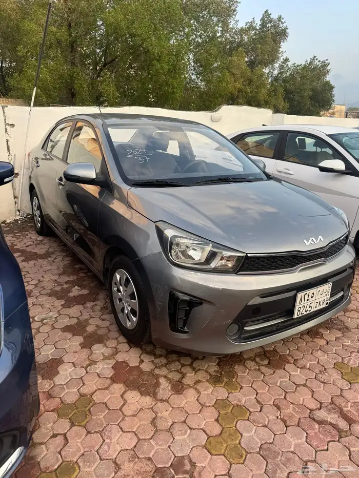 مجموعت سيارات للبيع كاش 10