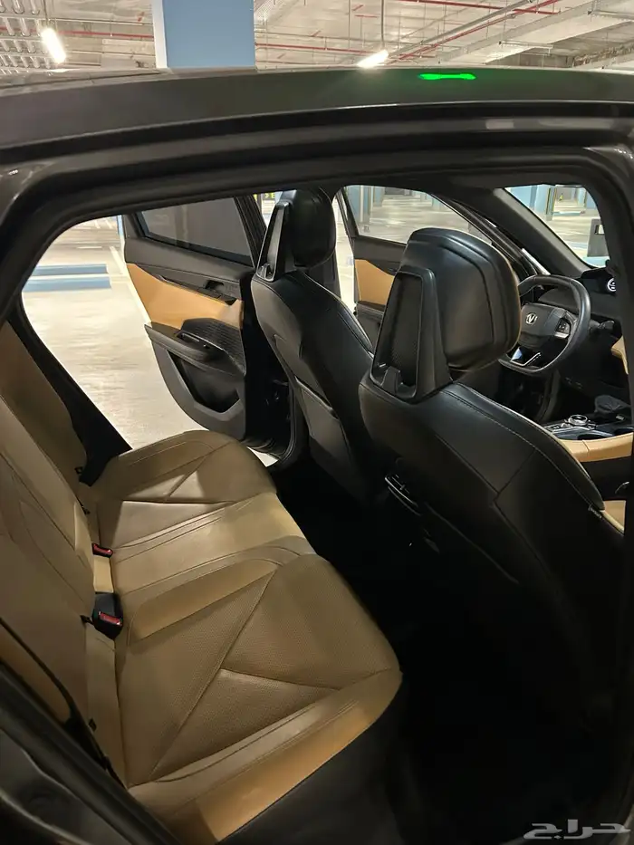 شانجان يوني في 2024 14