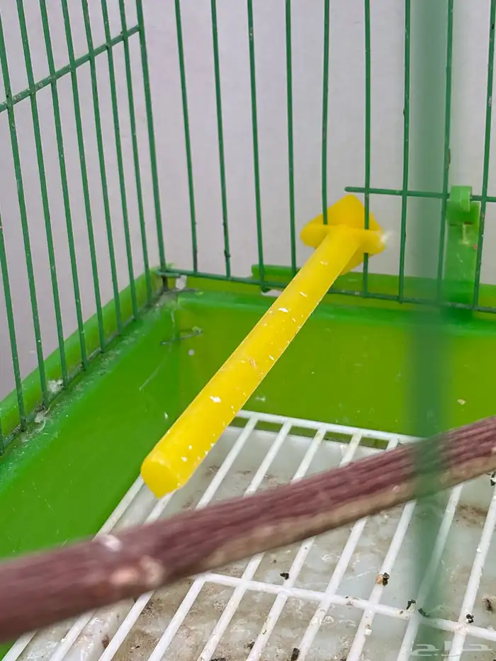 3 اقفاص بحاله جيد 1