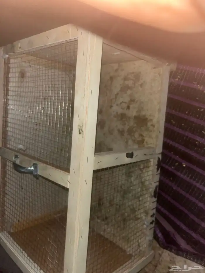 محكر البيع نضيف استخدام أسبوع على السوم 2