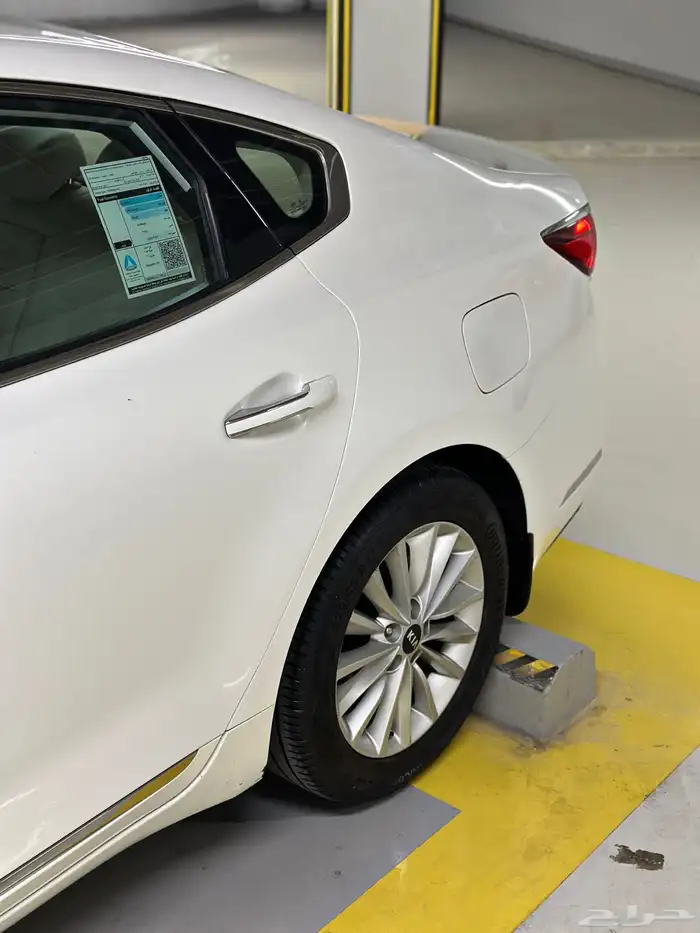 كادينزا 2017 شد بلد 9