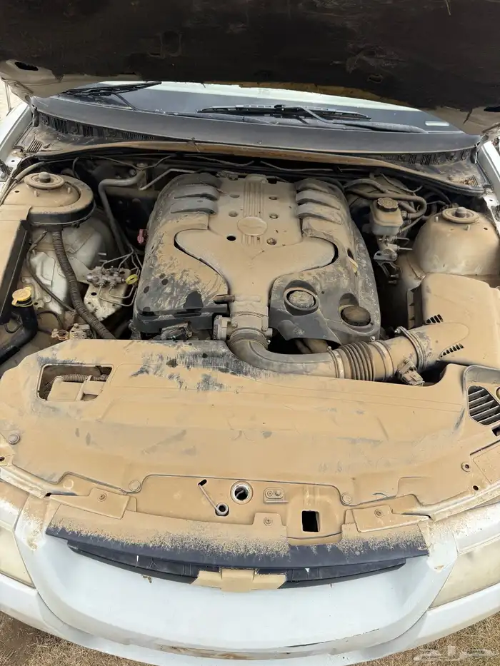 لومينا 2005 تشليح 10