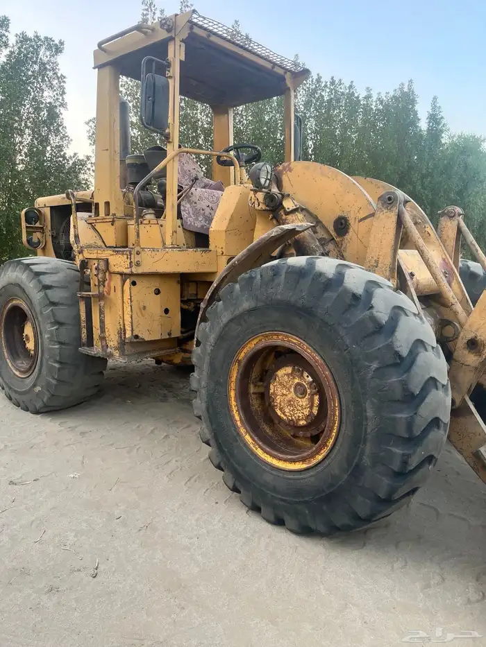 شيول للبيع 0