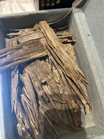 عود هندي ناجلاند فاخر index