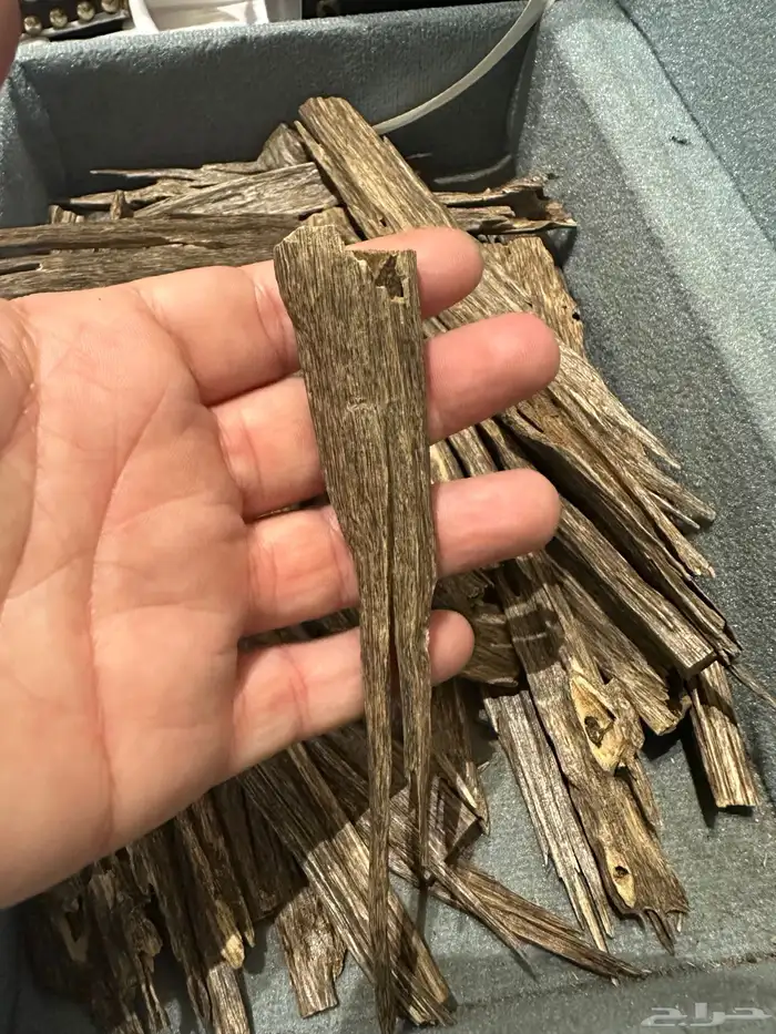 عود هندي ناجلاند فاخر 3