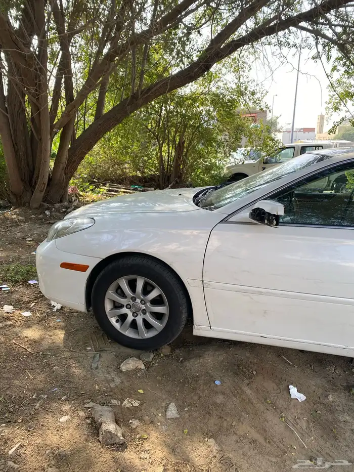 زهرة العمره 3