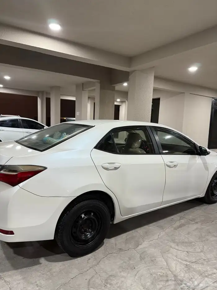 كورلا موديل 2019 0