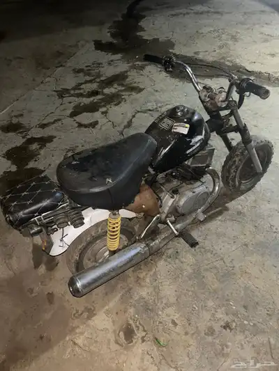 دباب للبيع على السوم جحش index