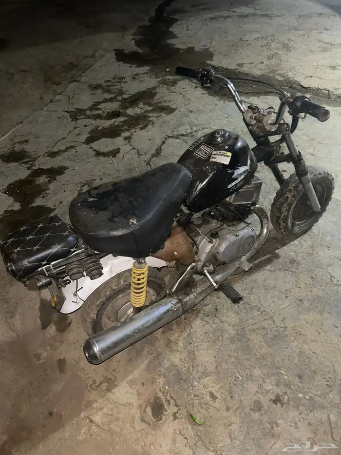 دباب للبيع على السوم جحش 1