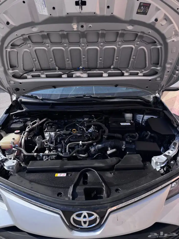 كورله شرط محركات بودي ارباقات قزاز على حالة الوكاله 17