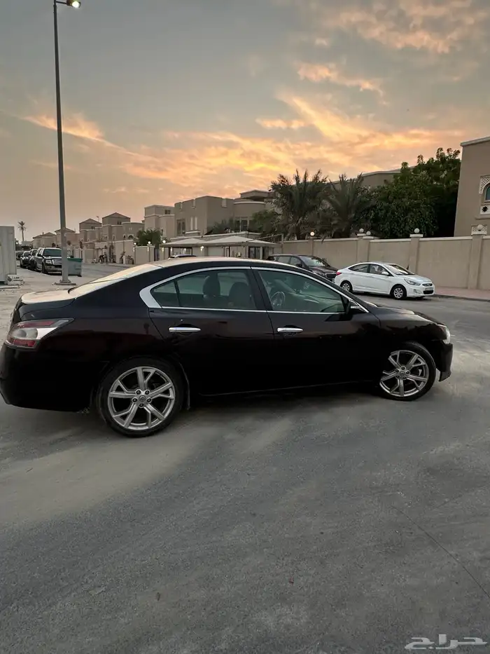 ماكسيما 2014 14