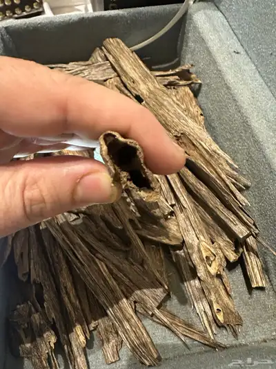 عود هندي ناجلاند فاخر index