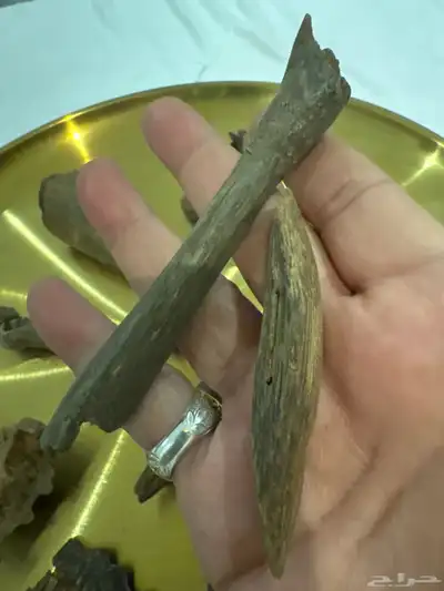 نوادر المروكي الحي index