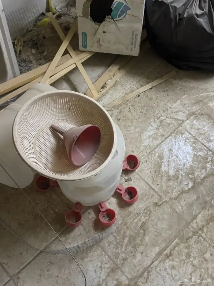 مستلزمات طيور 5