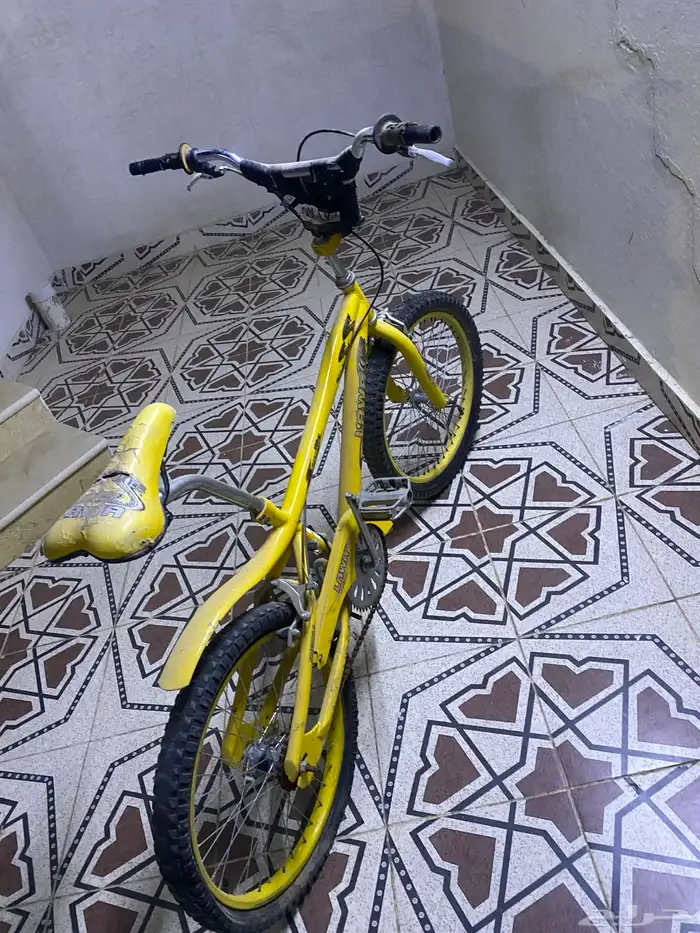 سيكل كوبرا جديد 3