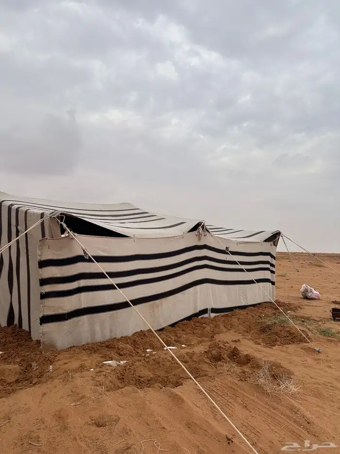 قطبة شماليه 1