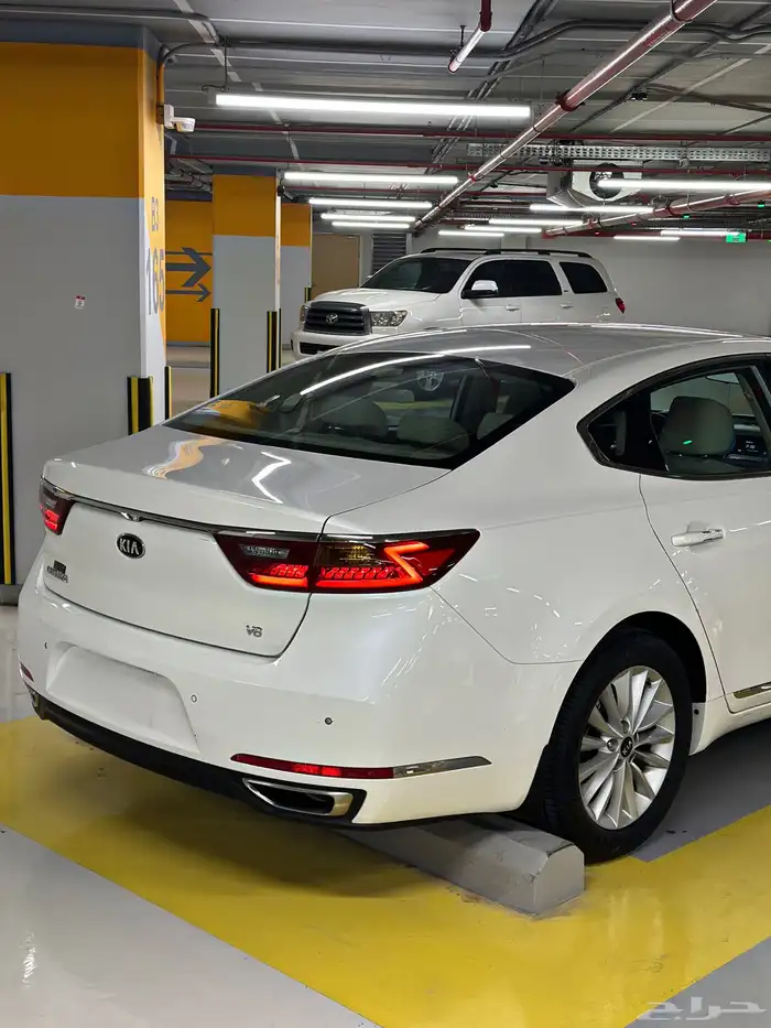 كادينزا 2017 شد بلد 5