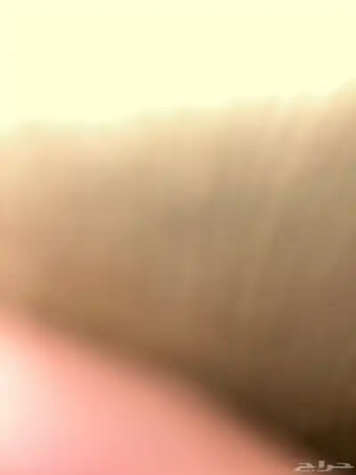 احتاج اكورد موديل من 10-11-12 سعر طيب 0