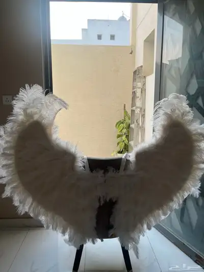 اجنحه للبيع index