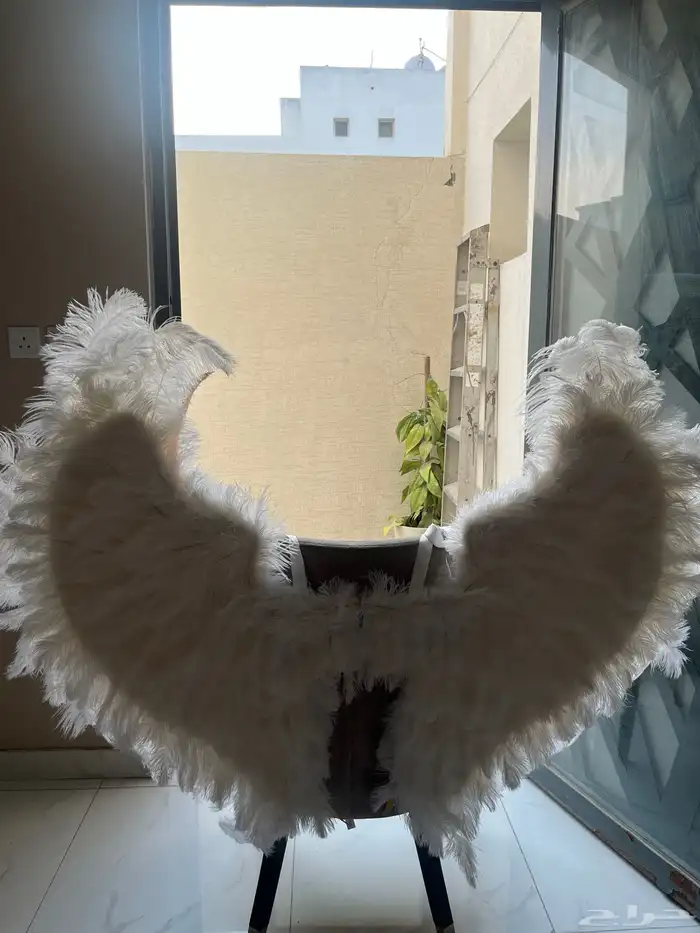 اجنحه للبيع 0
