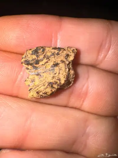 دقة عود سيلاني قديمة وثقيلة ( 20 جرام ) index