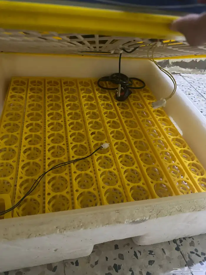 فقاسة دجاج للبيع 2