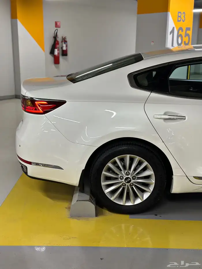 كادينزا 2017 شد بلد 4