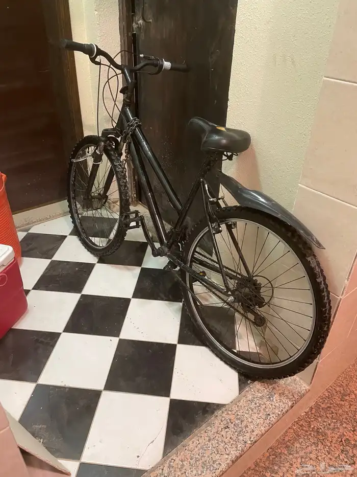 سيكل إندنوسي 3