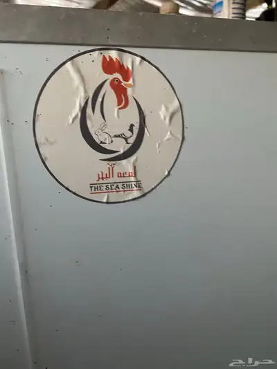 فقاسة بيض index